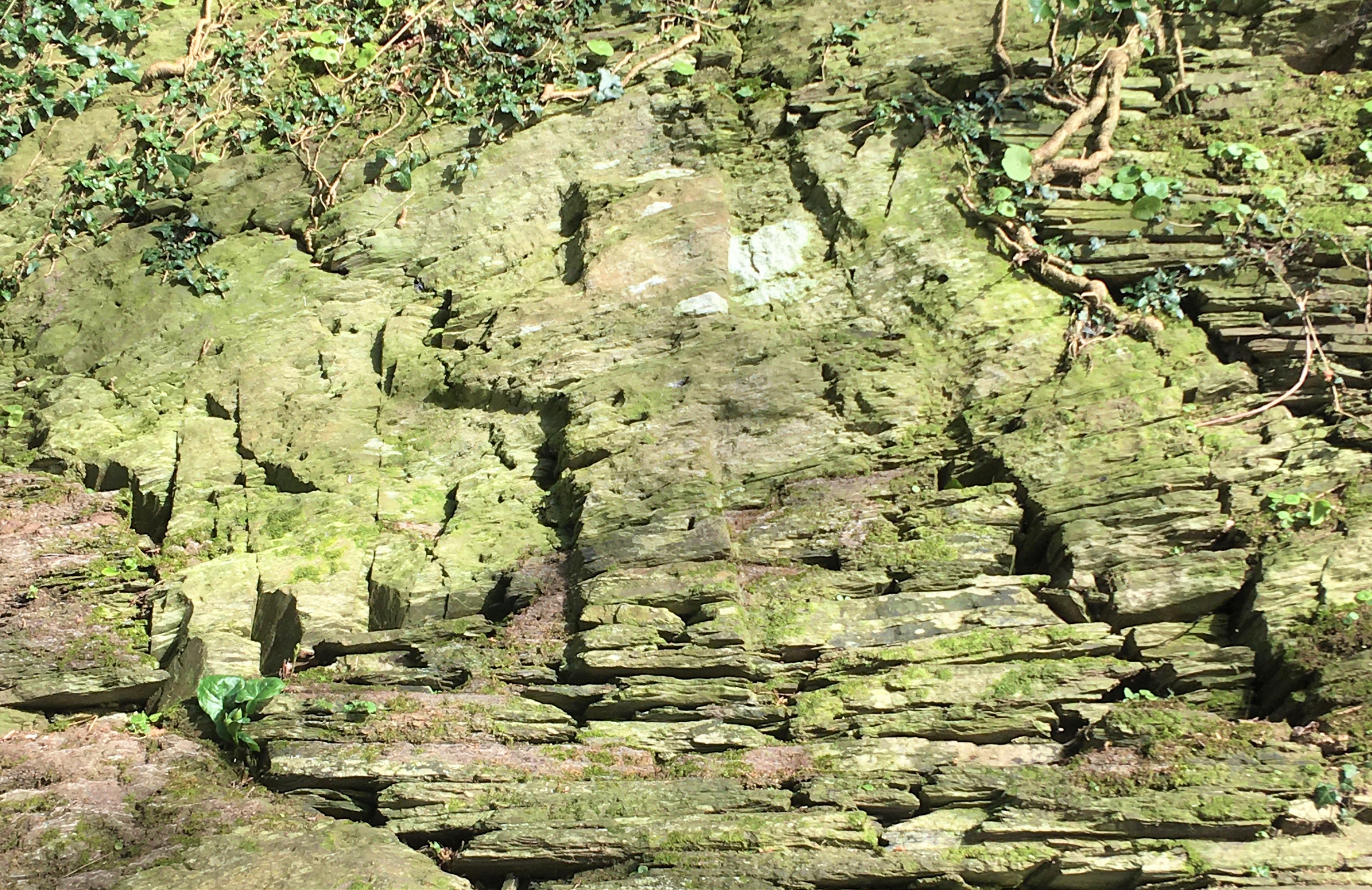 A pilgrimage walk to Nevern | National Churches Trust