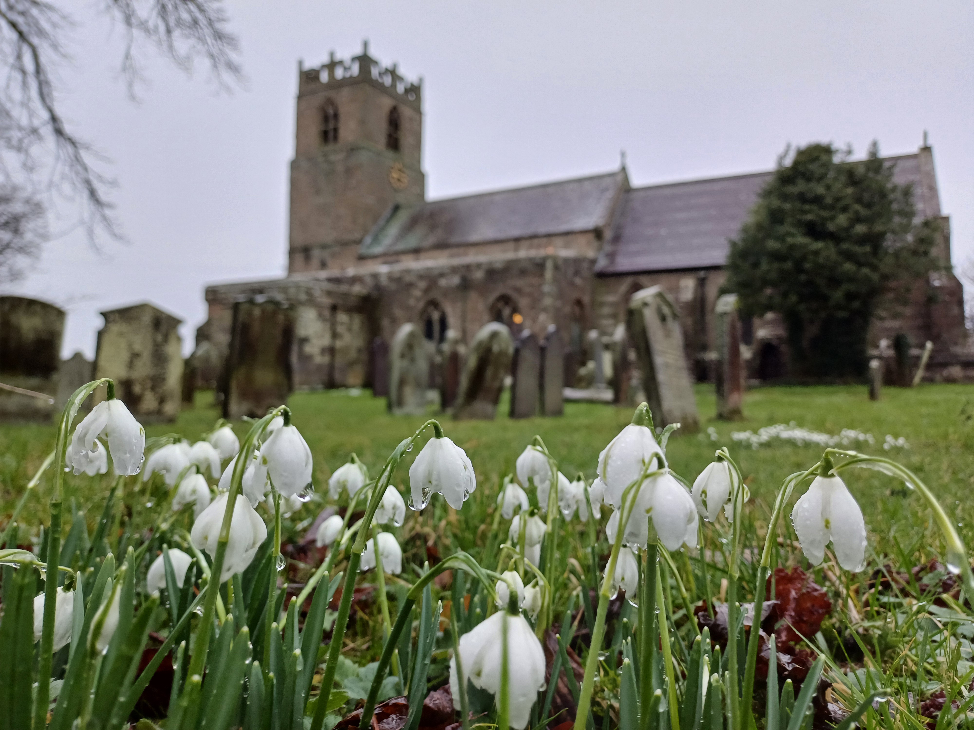 Spring flowers | National Churches Trust