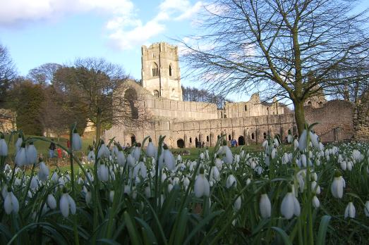 Spring flowers | National Churches Trust