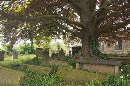 LincolnshireBISHOPNORTONStPeter(pushcreativityPERMISSIONBYEMAIL)5