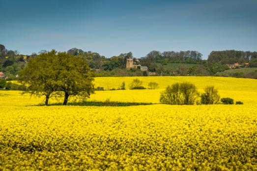 LincolnshireTEALBYAllSaints(pushcreativityPERMISSIONBYEMAIL)1