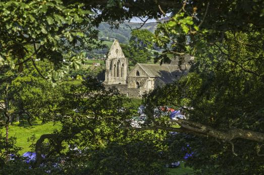 ClwydLLANGOLLENValleCrucisAbbey(©crowncopyright2020)12