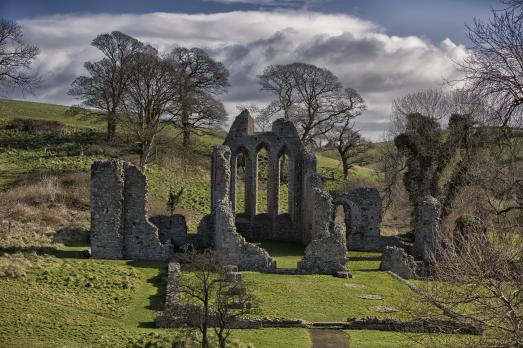 CountyDownDOWNPATRICKInchAbbey(tourismnorthernireland©NITB)1