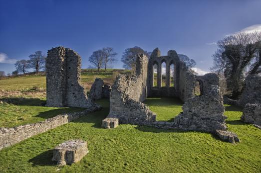 CountyDownDOWNPATRICKInchAbbey(tourismnorthernireland©NITB)2