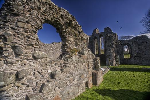 CountyDownDOWNPATRICKInchAbbey(tourismnorthernireland©NITB)3