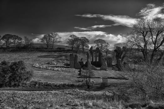 CountyDownDOWNPATRICKInchAbbey(tourismnorthernireland©NITB)4