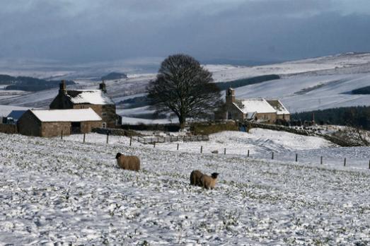 NorthumberlandCORSENSIDEStCuthbert(petermcdermottCC-BY-SA2.0)1