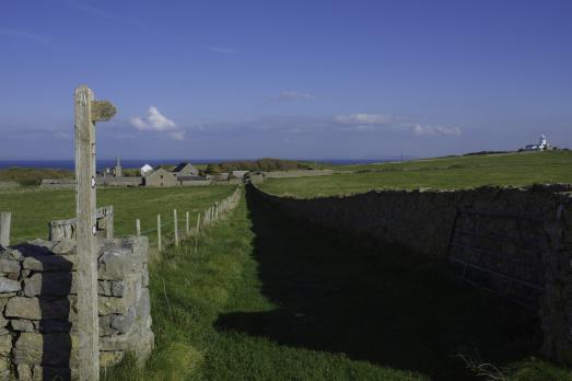 PembrokeshireCALDEYISLANDOldPrioryStIlltyd(©crowncopyright2020)1