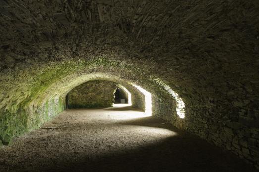 PembrokeshireSTDAVIDSStDavidsCathedral(©crowncopyright2020)36