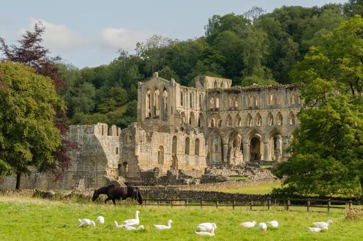 YorkshireHELMSLEYRievaulxAbbey(alh1CC-BY-ND2.0)1