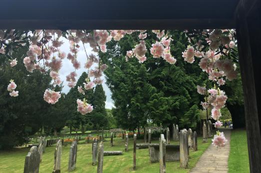 YorkshireKIRKDALEStGregoryMinster(sarahcrosslandSTAFF)2