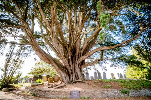 AngleseyCHURCHISLANDStTysilio(explorechurches.org)38