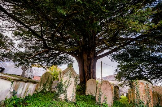 GlamorganEWENNYEwennyPriory(explorechurches.org)12