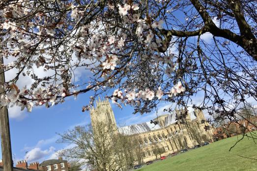 YorkshireBEVERLEYBeverleyMinster(sarahcrosslandSTAFF)1