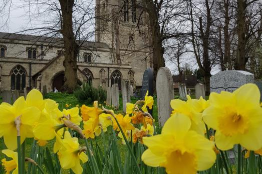 CambridgeshireHASLINGFIELDAllSaints(jennifergorePERMISSIONBYEMAIL)1