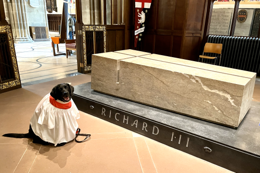 STORYDogFriendlyLeicester(SarahMorrisPERISSIONBYEMAIL)1