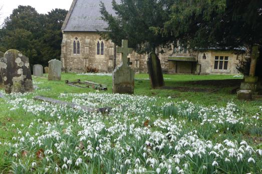KentIDEHILLStMaryVirgin(DavidJennerPhotographyPERMISSIONBYEMAIL)2