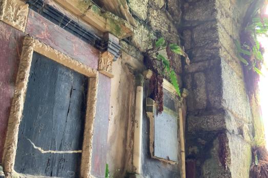 Green foliage grows among the stones in a church
