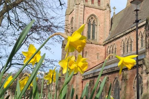 Daffodils in the foreground with Inverness Cathedral in the background.