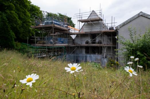 A catholic church with scaffolding around the roof with daisies growing in the foreground