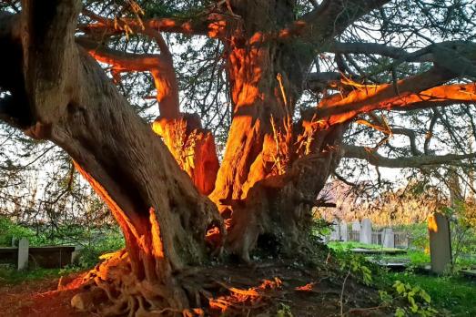 GwynneddLLANDDEINIOLENStDeiniol(LlanddeinilolenChurchBYEMAIL)3