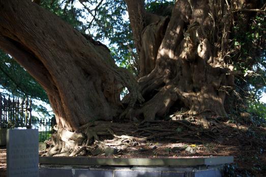 GwynneddLLANDDEINIOLENStDeiniol(PeteBurkinshawCC-BY-SA2.0)1