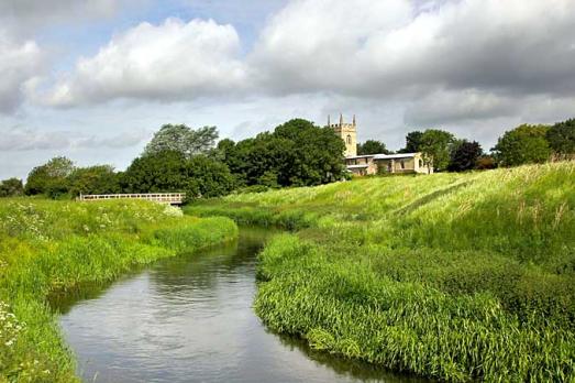 NottinghamshireBARNBYWILLOWSAllSaints(YvetteWellardPERMISSIONBYEMAIL)1