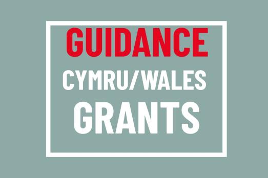 A graphic explaining that it is a guidance note for the Cymru/Wales Grant