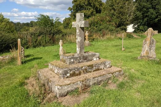 ShropshireNEENSAVAGEStMary(FabianMustoCC-BY-SA2.0)2