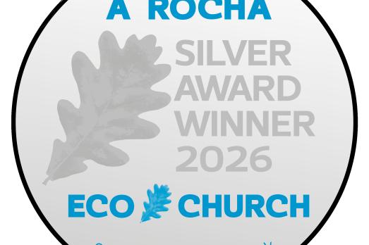 LOGOEcoChurchSilver