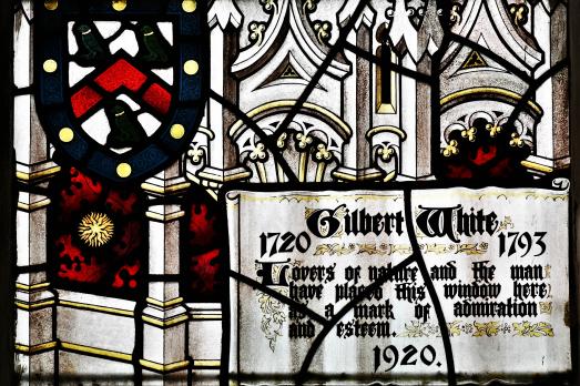 HampshireSELBORNEStMary(MichaelGarlickCC-BY-SA2.0)3