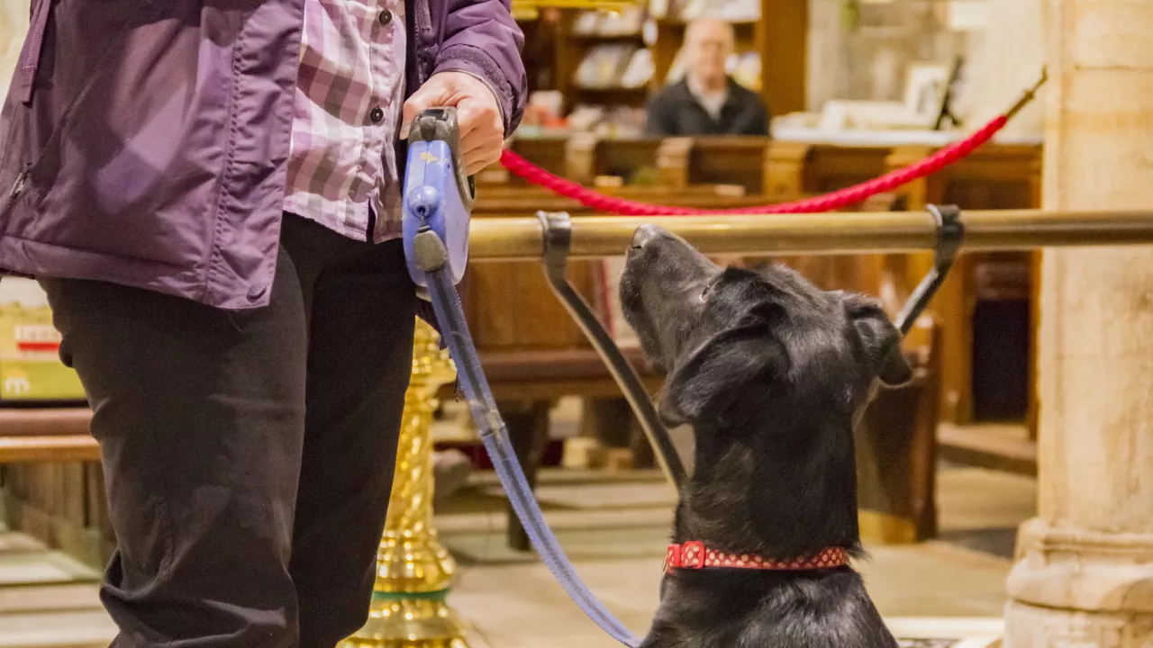 LincolnshireHORNCASTLEStMary(explorechurches.org)59