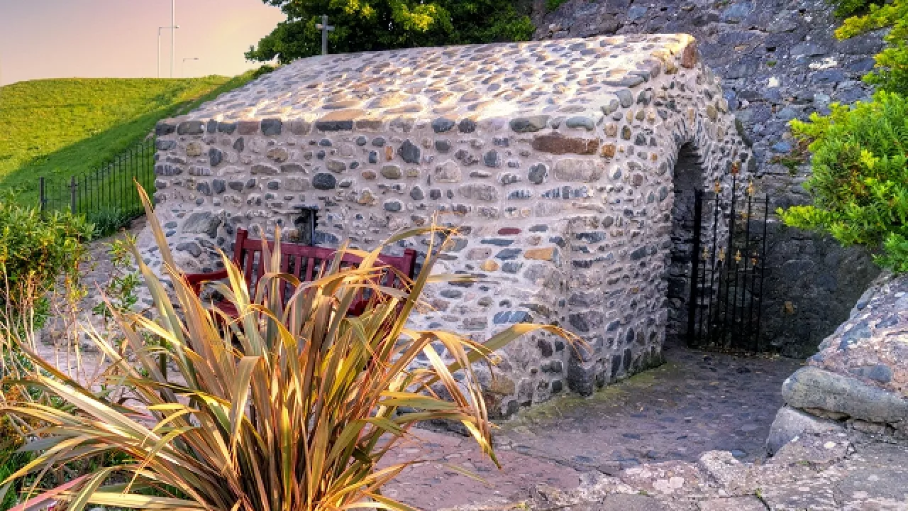 ClwydRHOSONSEAStTrillo(daviddixonCC-BY-SA2.0)1