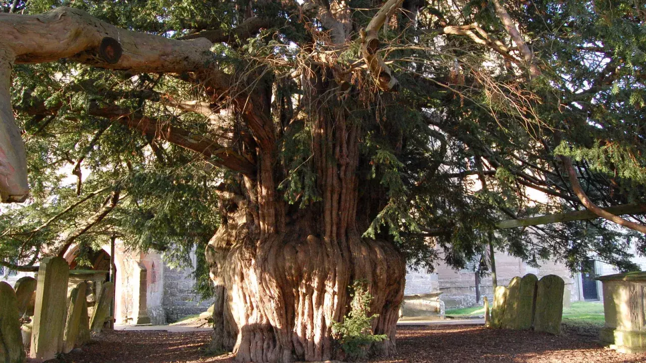 The Herefordshire Trail | National Churches Trust