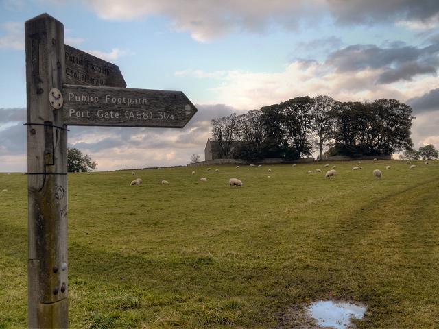 NorthumberlandHEAVENFIELDStOswald(daviddixonCC-BY-SA2.0)1