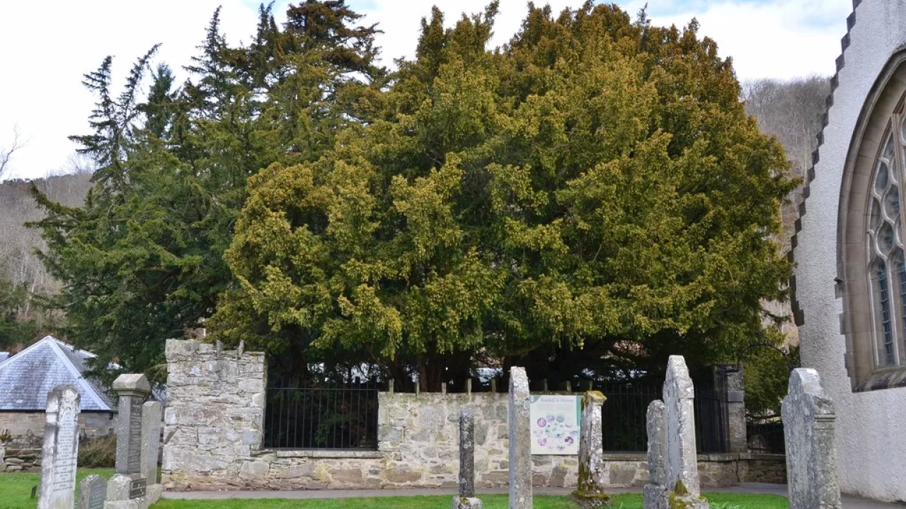 TaysideFORTINGALLFortingallParishChurch(jimbartonCC-BY-SA2.0)1