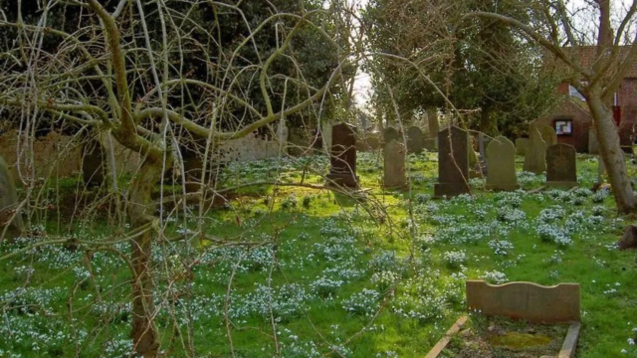 YorkshireKIRKBRAMWITHStMary(stevefarehamCC-BY-SA2.0)1