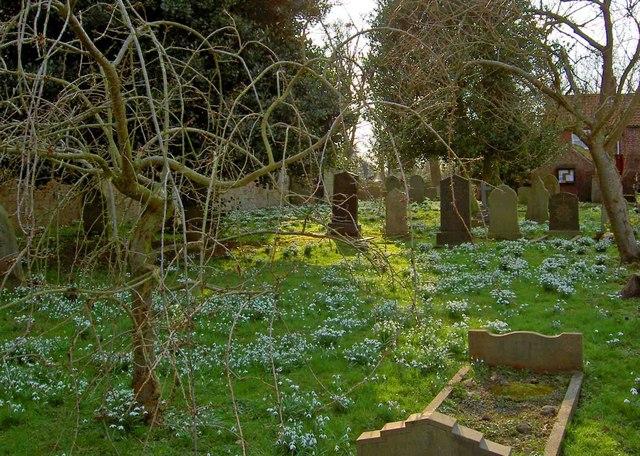 YorkshireKIRKBRAMWITHStMary(stevefarehamCC-BY-SA2.0)1