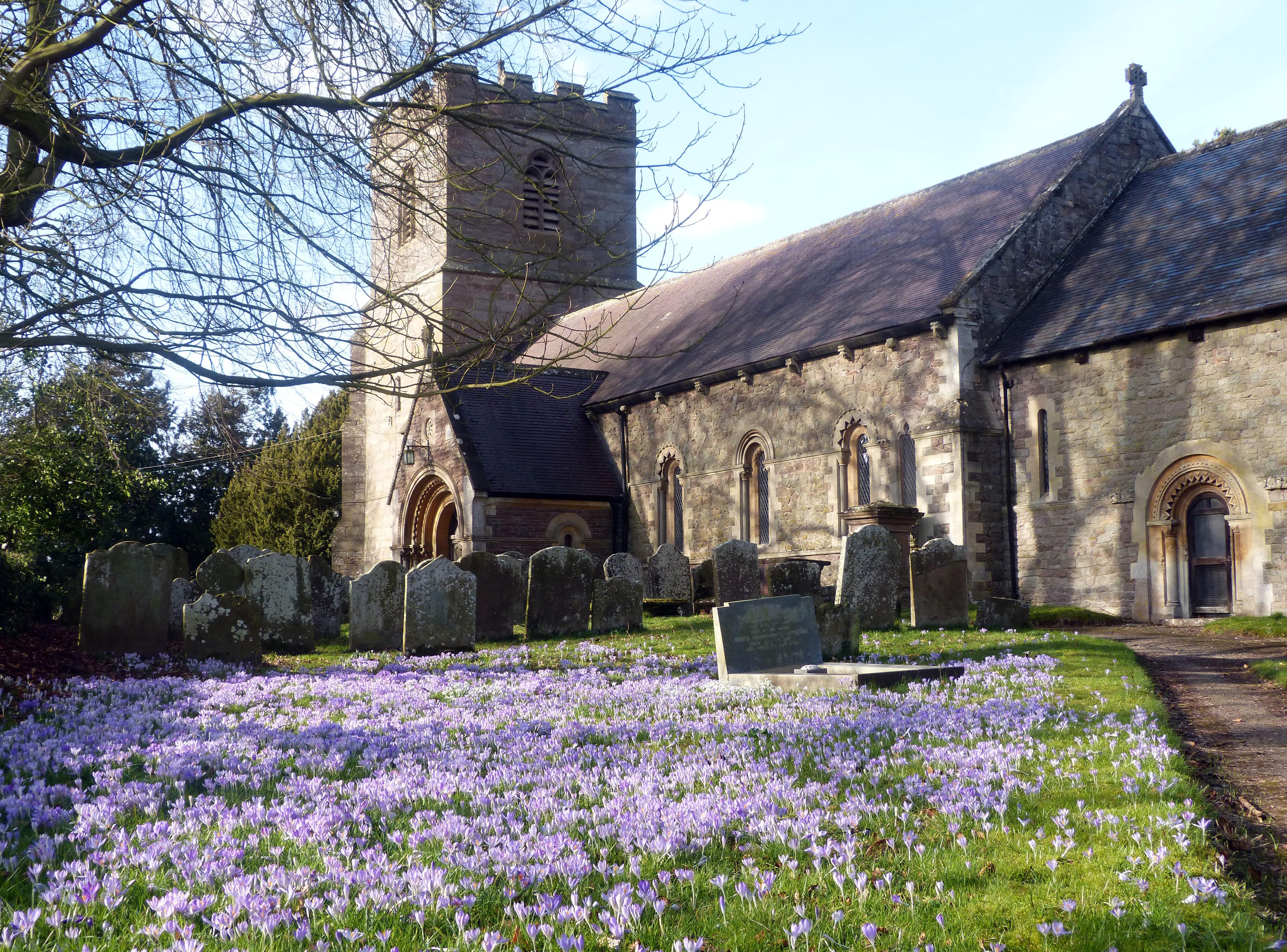 HerefordshireBISHOPSFROMEStMaryVirgin(gailhampshireCC-BY-SA2.0)1