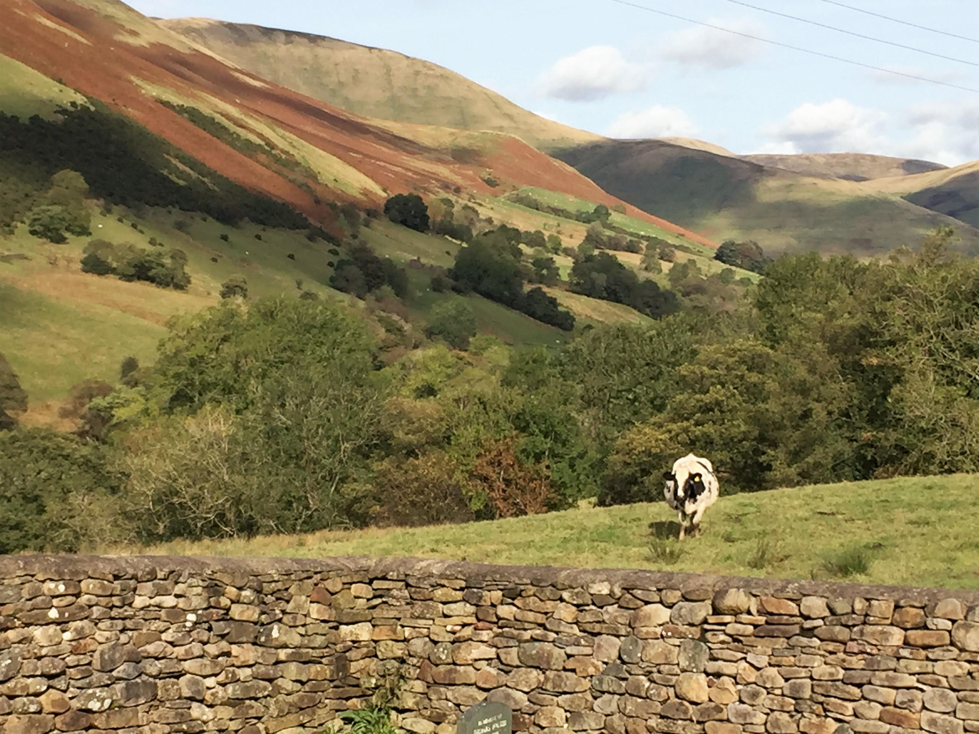 CumbriaSEDBERGHCautleyChapel(jaynepottsPERMISSIONBYEMAIL)3