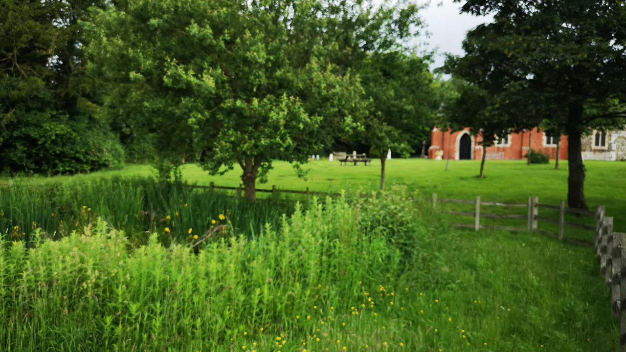 LincolnshireBEESBYStAndrew(joshholmesPERMISSIONBYEMAIL)1