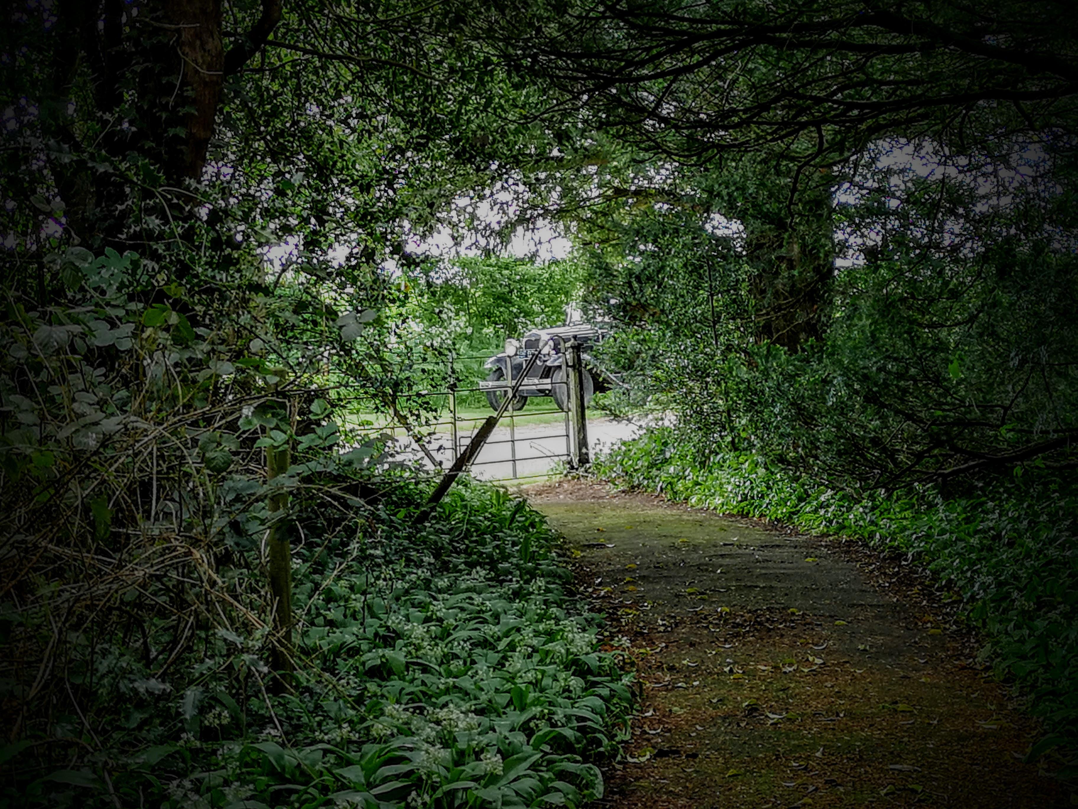 LincolnshireHARRINGTONStMary(joshholmesPERMISSIONBYEMAIL)1