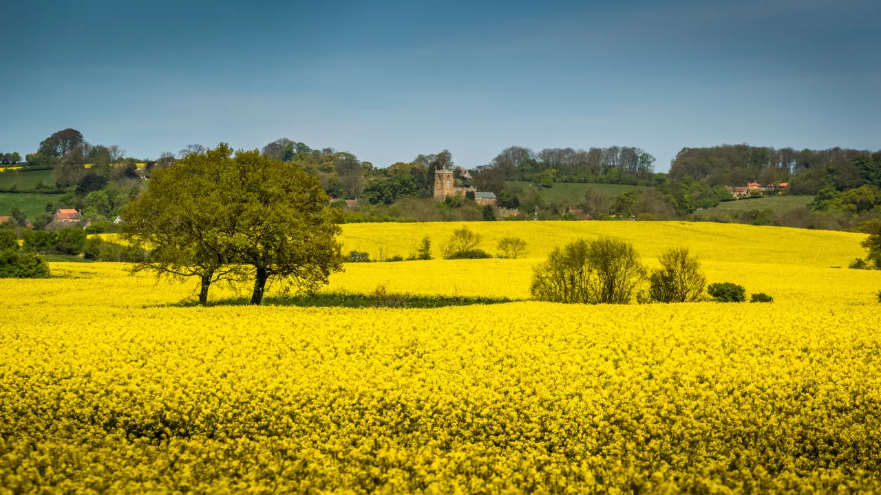 LincolnshireTEALBYAllSaints(pushcreativityPERMISSIONBYEMAIL)1