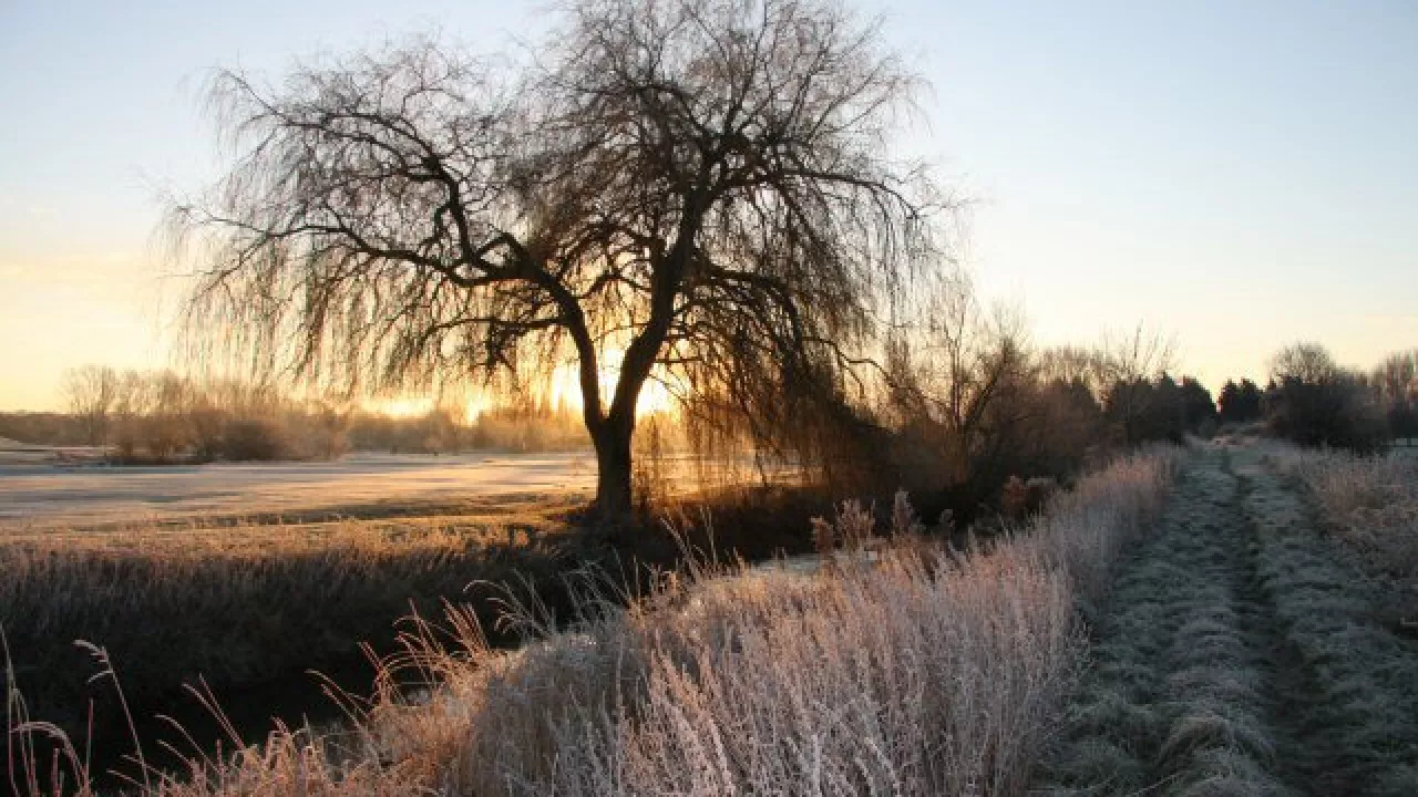 SuffolkFORNHAMStGenevieve(bobjonesCC-BY-SA2.0)1