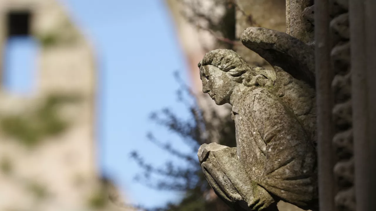 CountyDownGREYABBEYGreyAbbey(tourismnorthernireland©NITB)1
