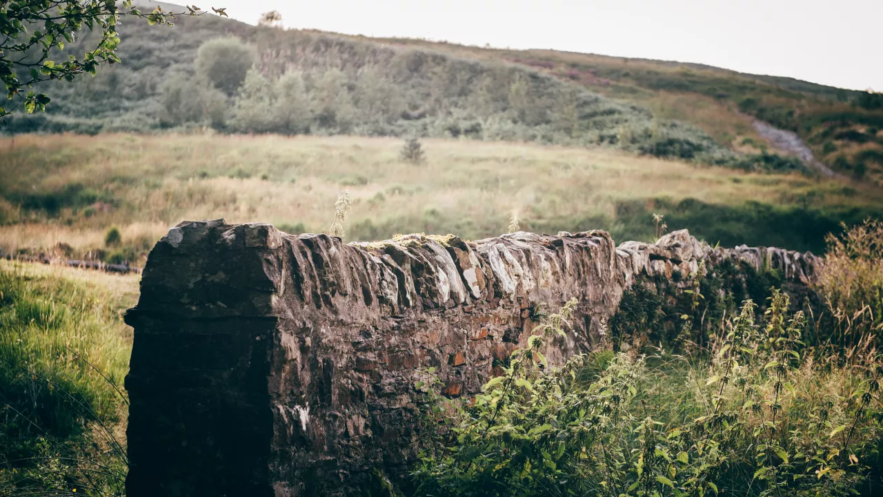 CeredigeonTREGARONSoaryMynydd(©crowncopyright2020)3