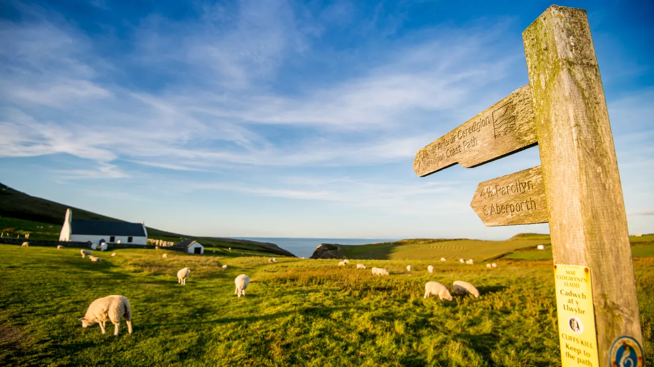 CeredigionMWNTChurchHolyCross(©crowncopyright2020)1