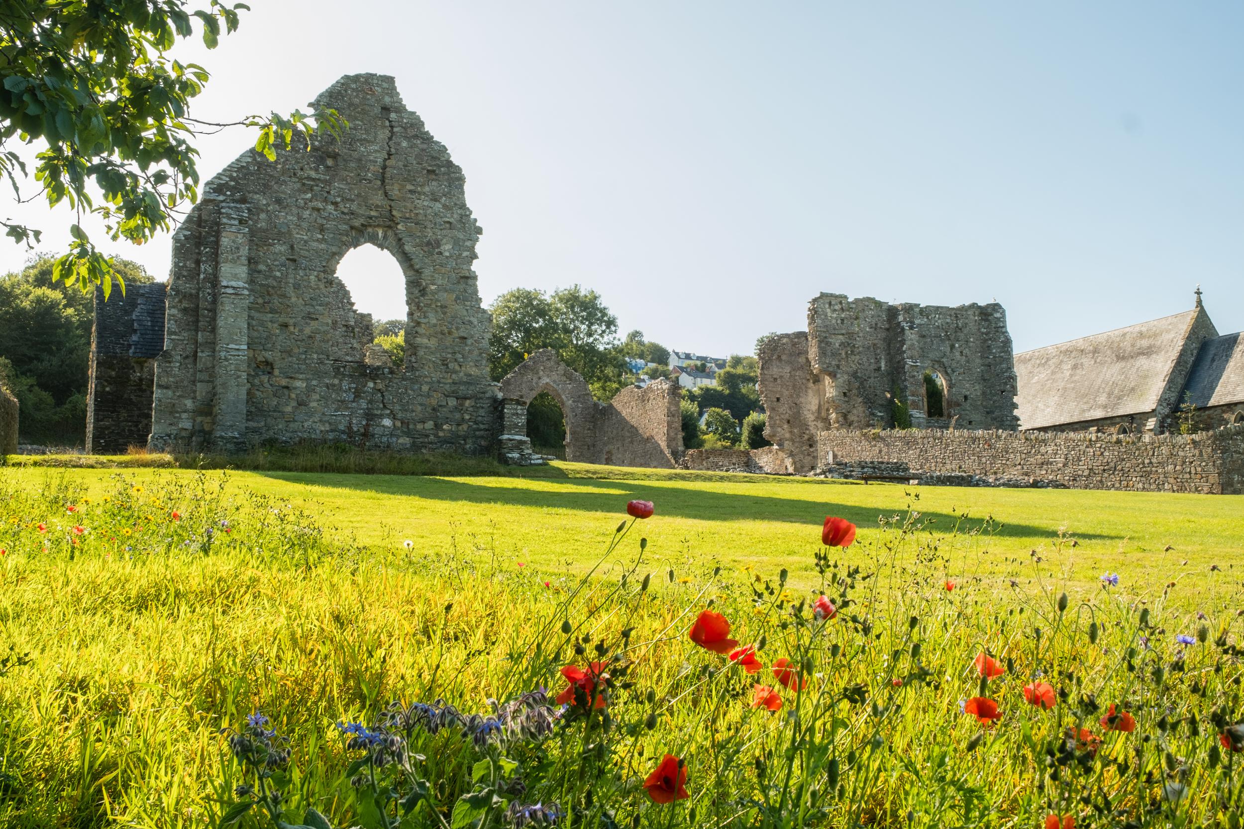 PembrokeshireSTDOGMAELSStDogmaelsAbbey(©crowncopyright2020)1