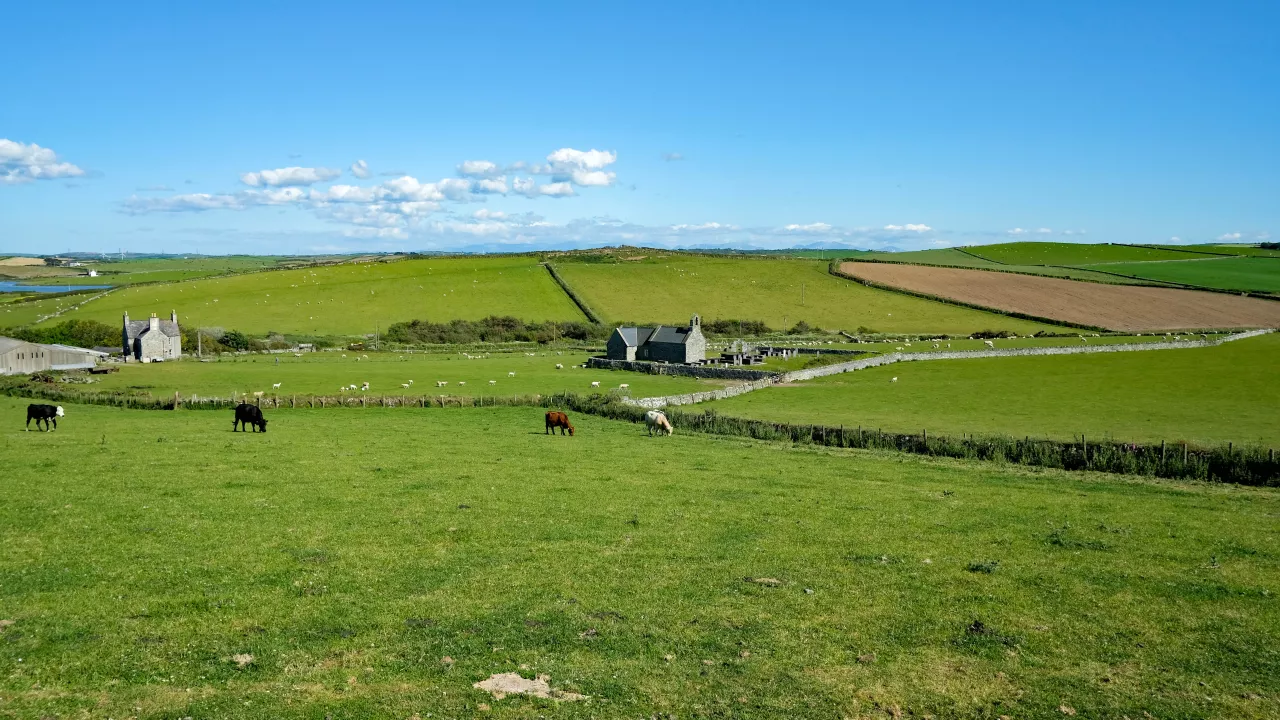 AngleseyLLANRHWYDRYSStRhwydrys(jeffbuckCC-BY-SA2.0)1