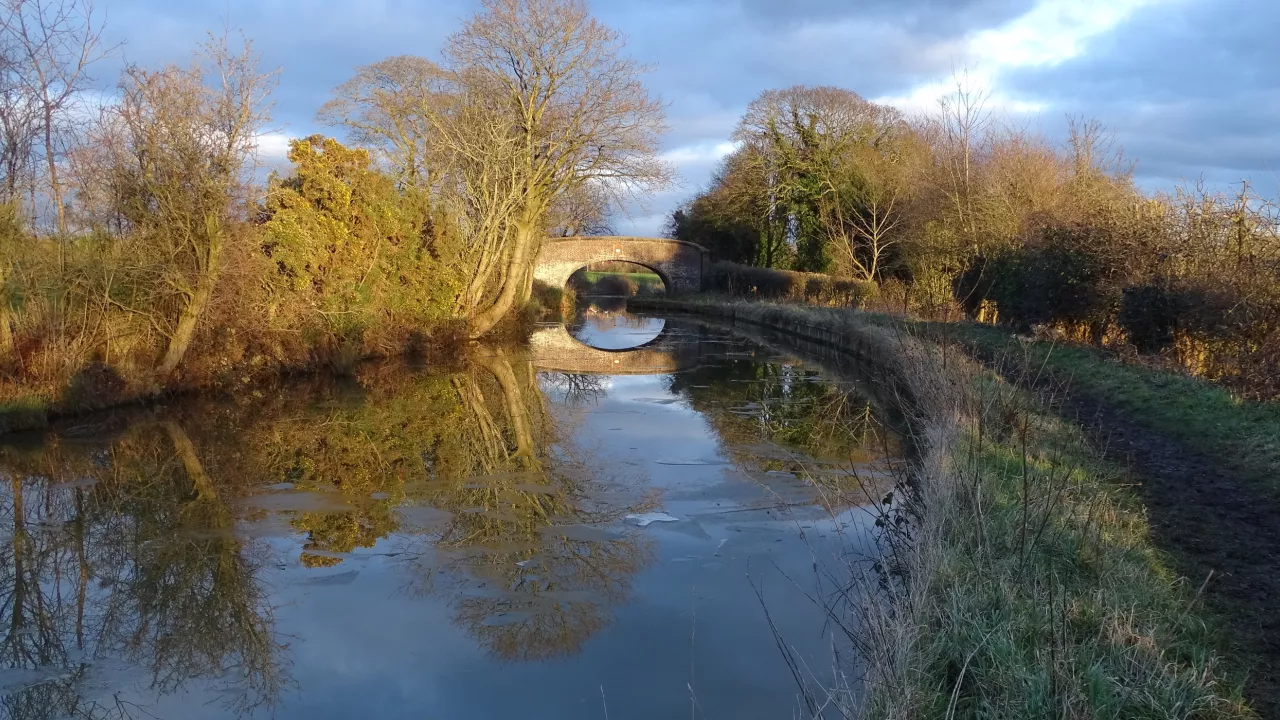 PAGECheshire(wildlifeterryCC0)1